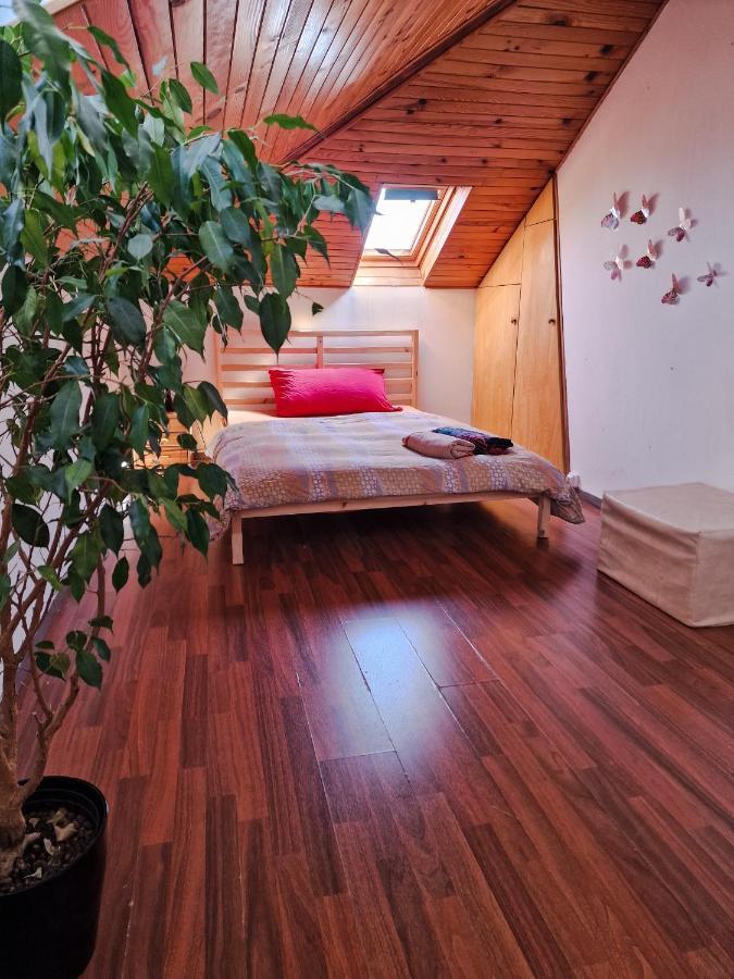 Beautiful Aparment Next To The Border 4 Room Saint-Louis  Exterior photo